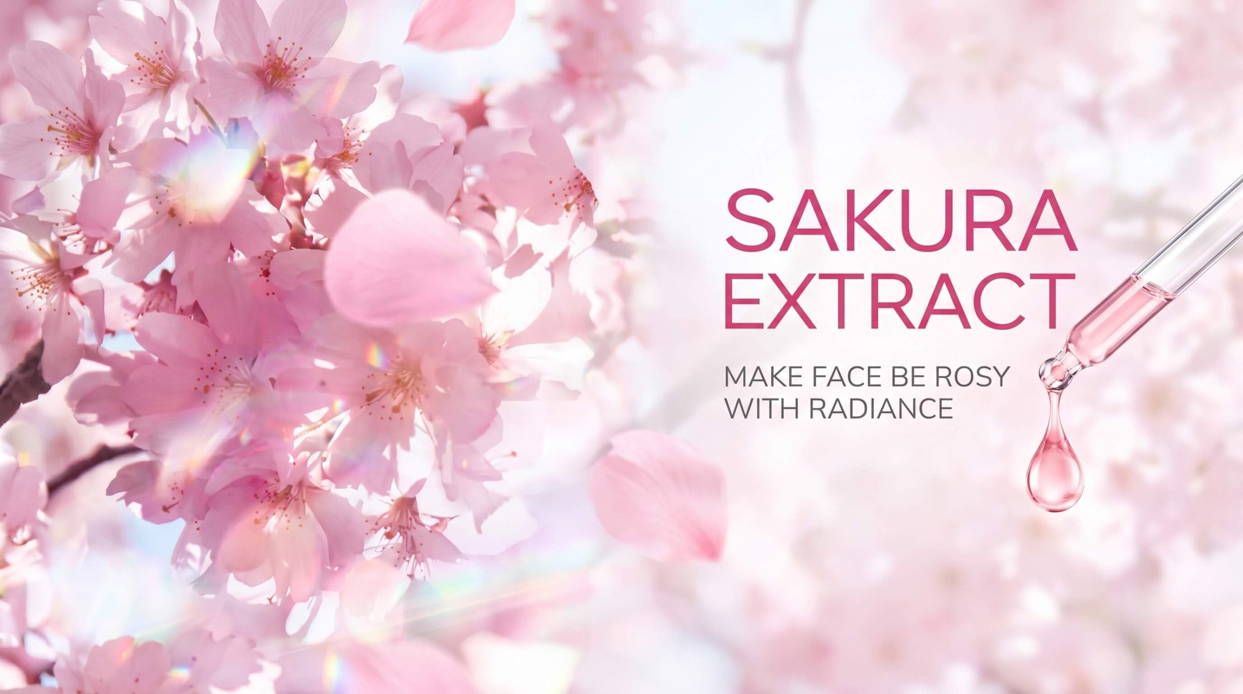 You are currently viewing LAIKOU Sakura Skin Care Set Review – Complete Daily Skincare Routine for Women